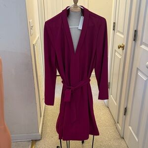 Elegant Women's Burgundy Dress